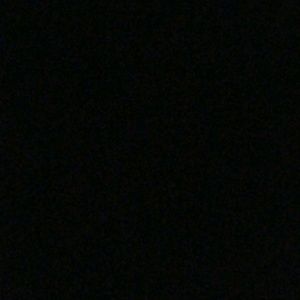 Meet your Posher, Elsie