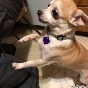 Meet your Posher, Andrew