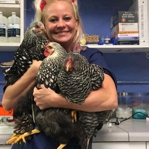 Meet your Posher, Margo