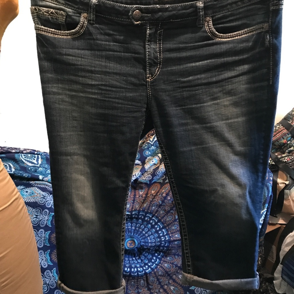 Silver Capris plus size