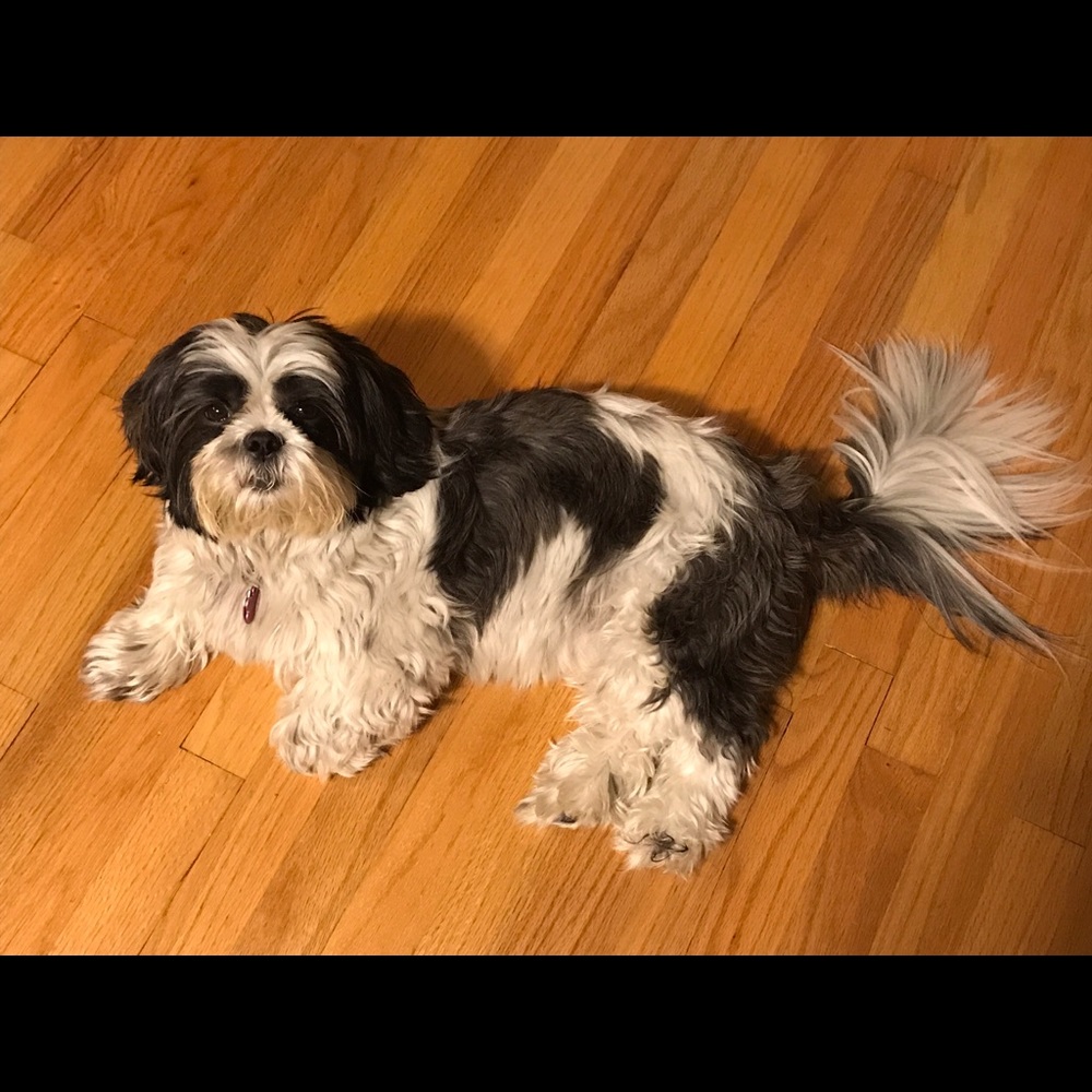 Meet your Posher, Kristine