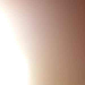 Meet your Posher, Leroy