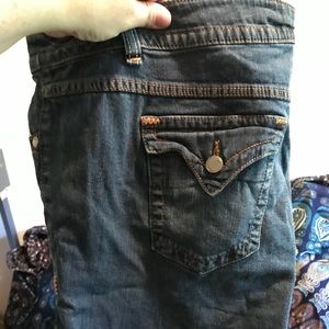 Avenue Plus Size Jean Shorts