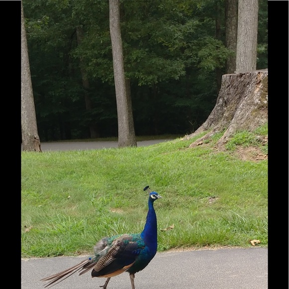 ♥️ - Picture 3 of 4