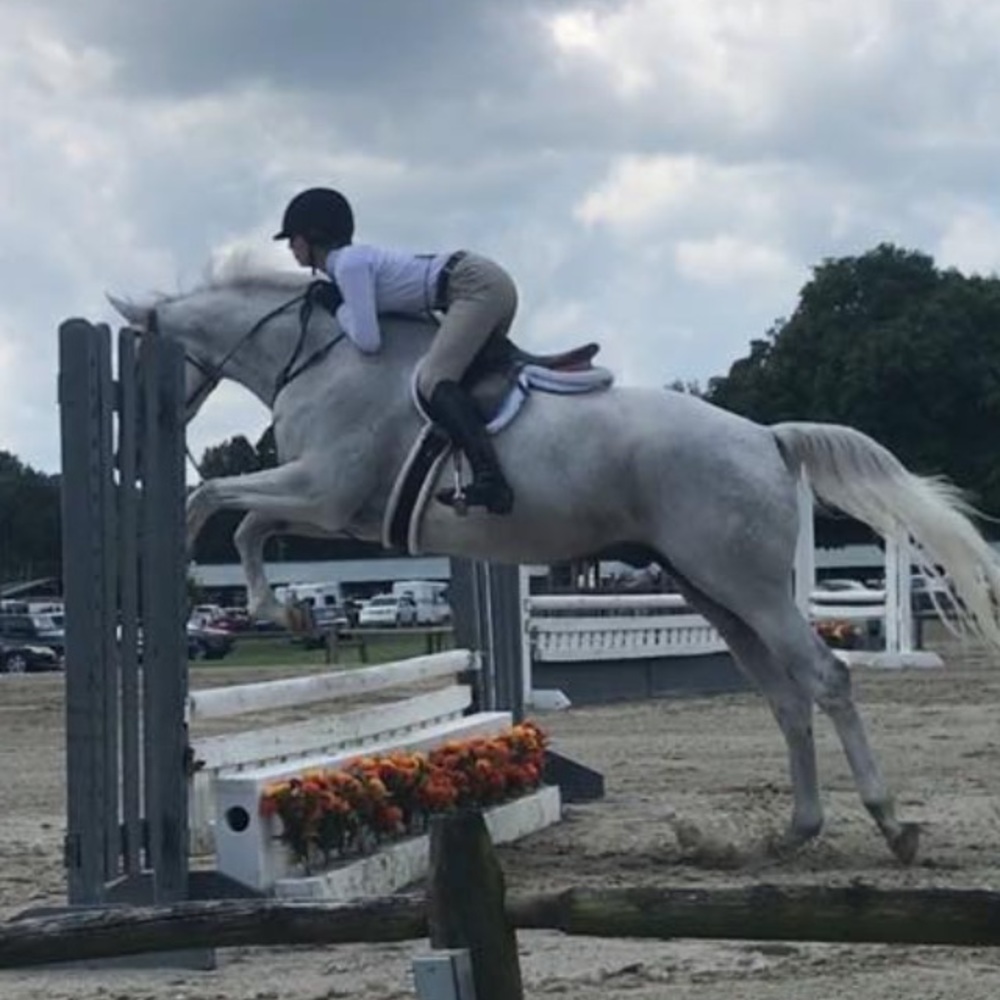 Meet your Posher, Emma