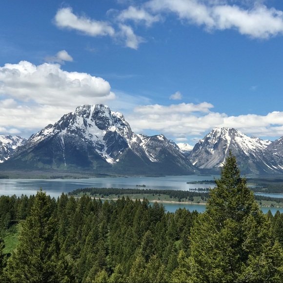 Meet your Posher, Kim - Picture 2 of 4