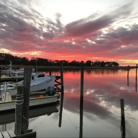 Meet your Posher, Kim - Picture 3 of 4