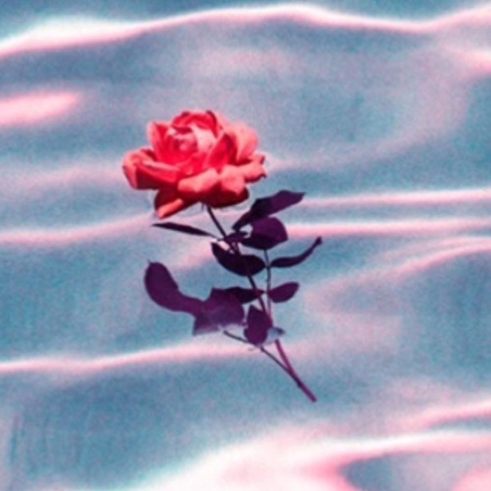 Meet your Posher, Zoe