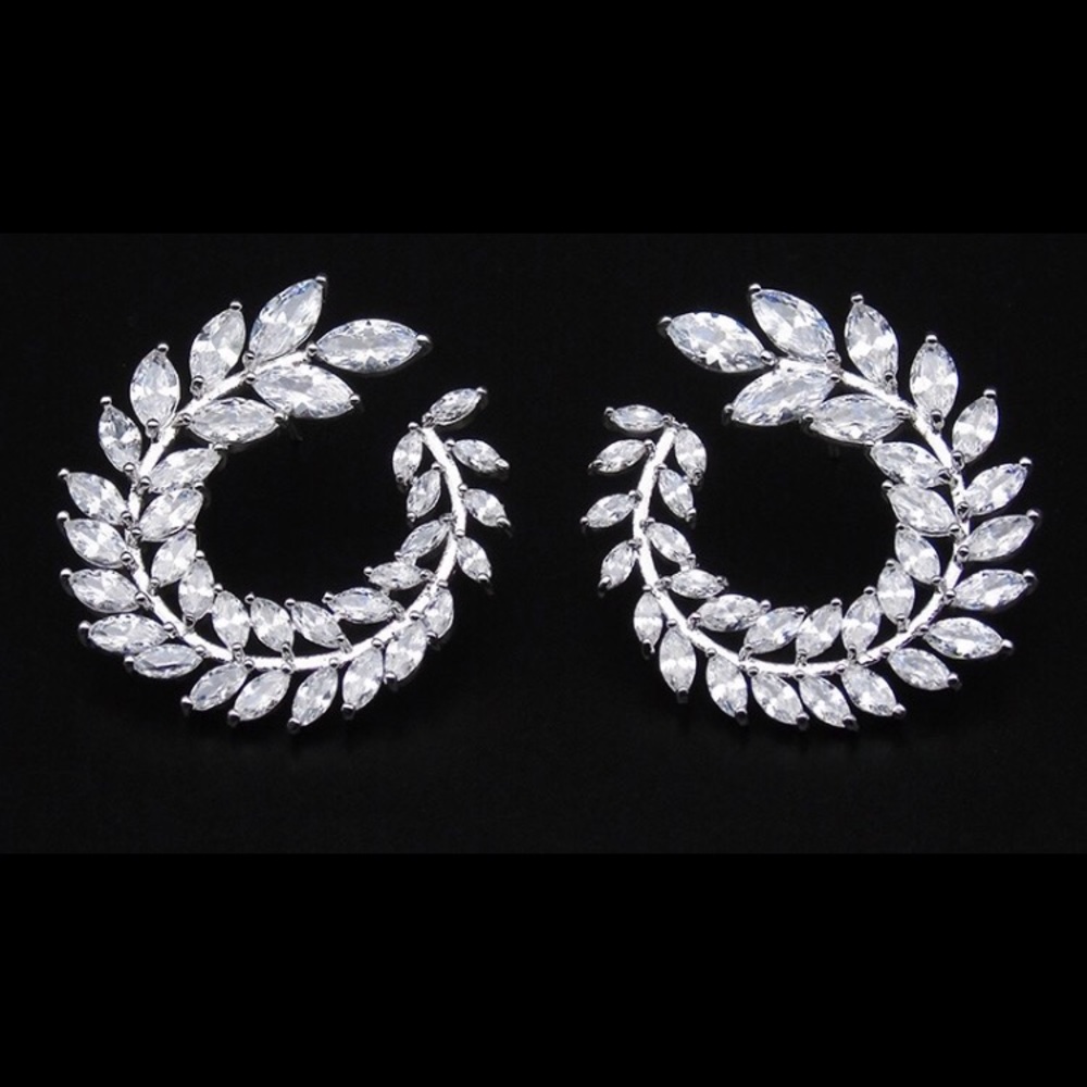 Moonlight crystal shiny earrings