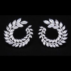 Moonlight crystal shiny earrings