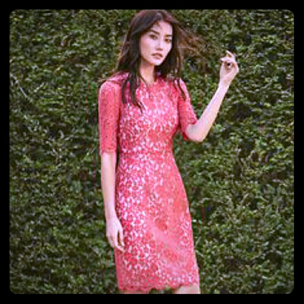 LK Bennett Wardour Dress