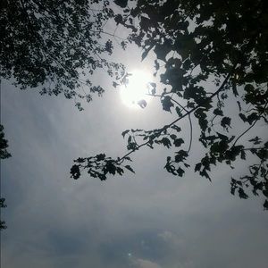 Meet your Posher, Calla