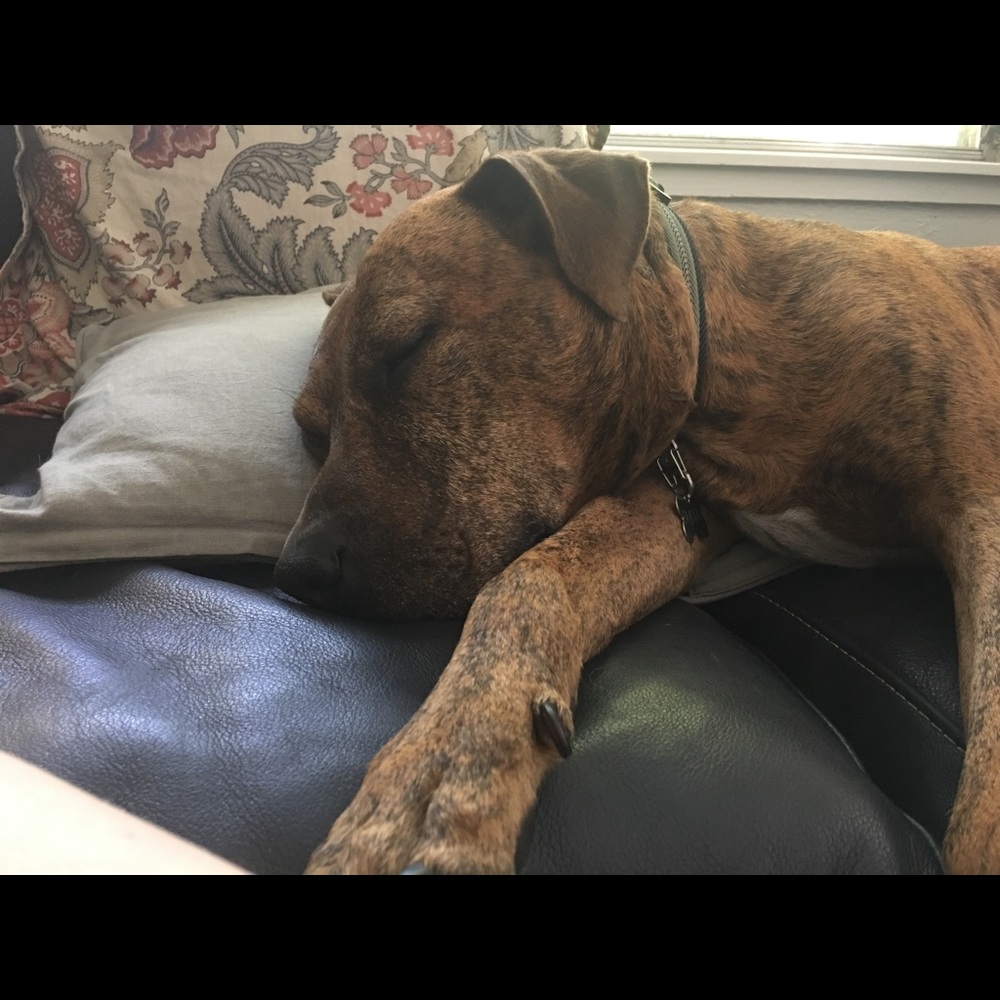 Meet your Posher, Deborah