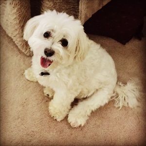 Meet your Posher, Kate