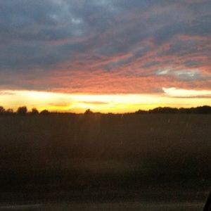 Meet your Posher, Sonya