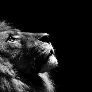 Meet your Posher, Josh