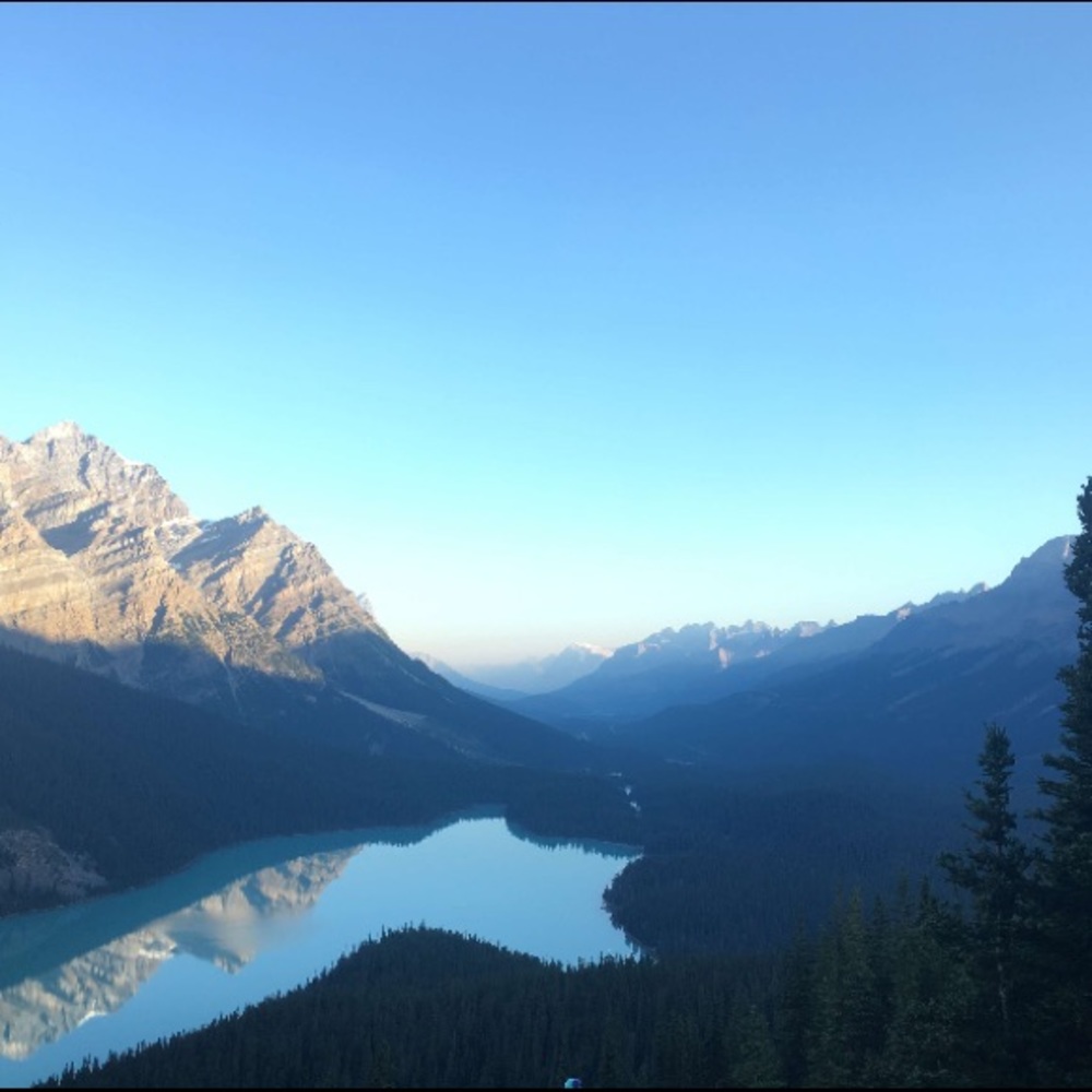 Meet your Posher, Casie