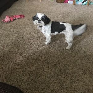 Meet your Posher, Beth