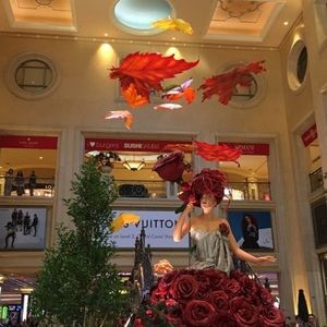 Meet your Posher, Thien