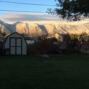 Meet your Posher, Delilah