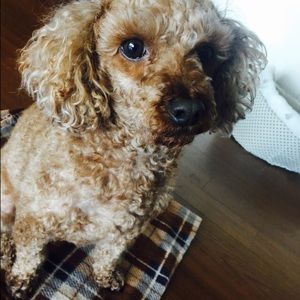 Meet your Posher, Seolyoung