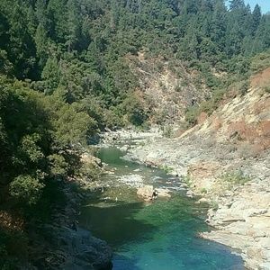 Meet your Posher, Larissa