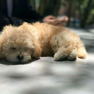 Meet your Posher, Retha