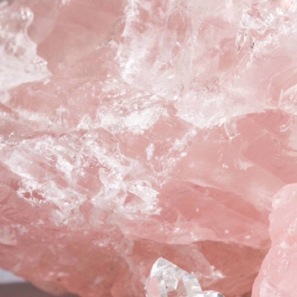 Meet your Posher, Tar