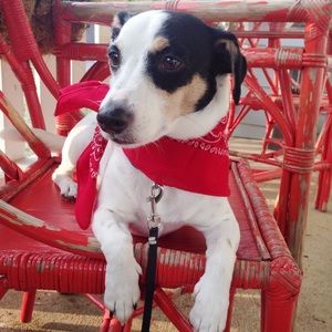 Meet your Posher, Susan