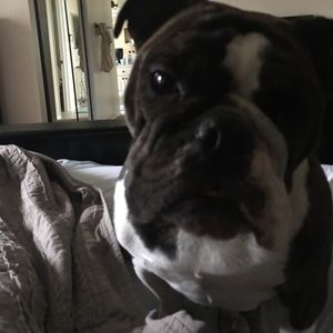 Meet your Posher, Taylor