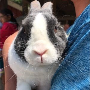 Meet your Posher, Lillian