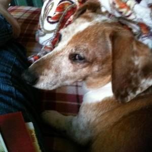 Meet your Posher, Marilyn