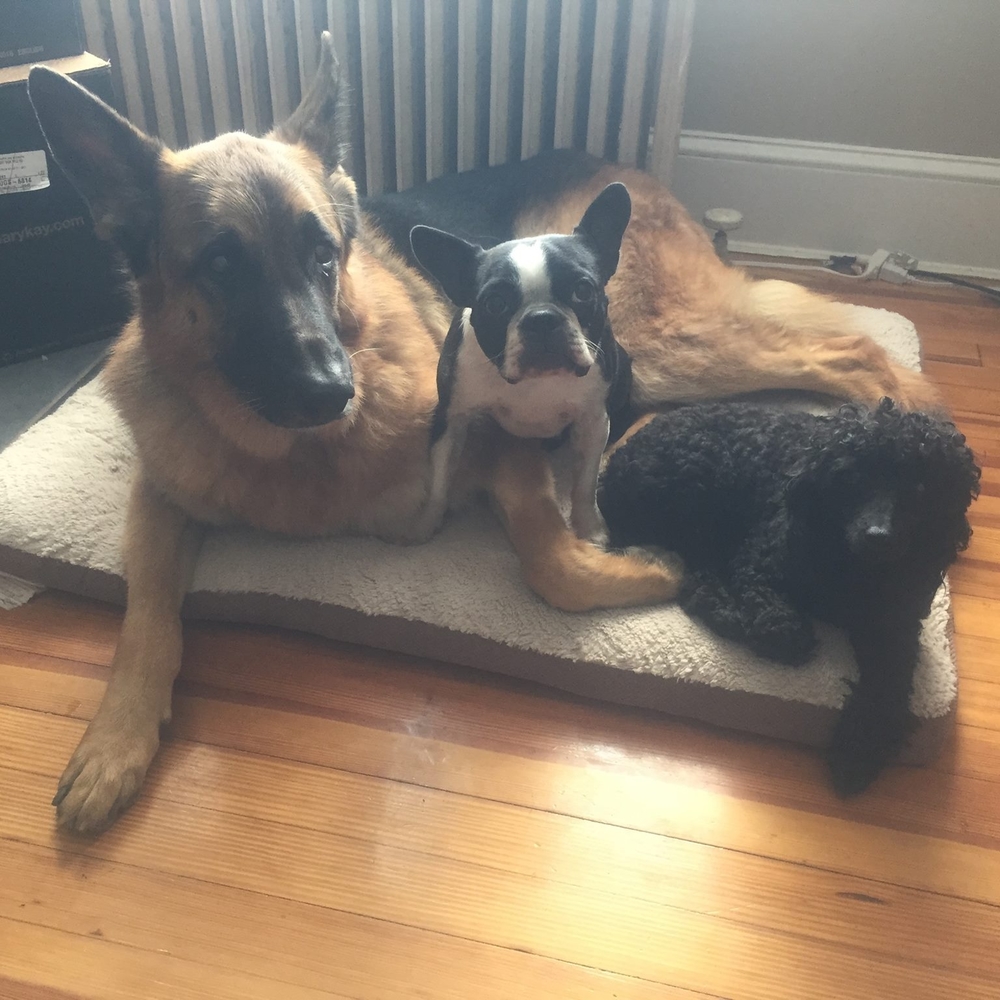 Meet your Posher, Christina