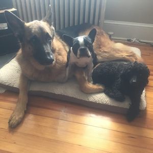 Meet your Posher, Christina