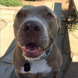 Meet your Posher, Ilise