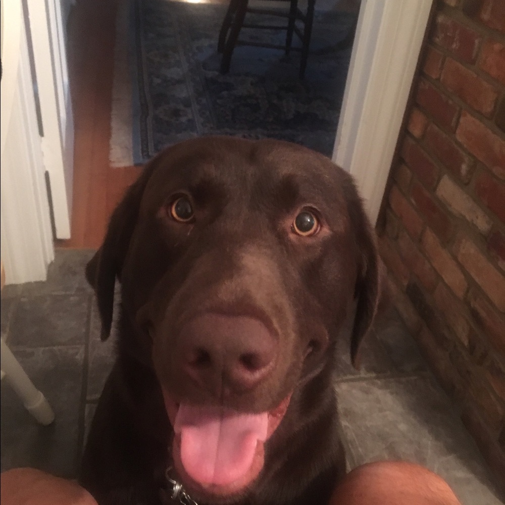 Meet your Posher, Stan