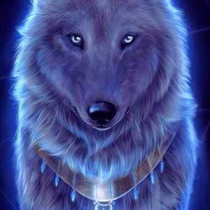 Meet your Posher, Darlene