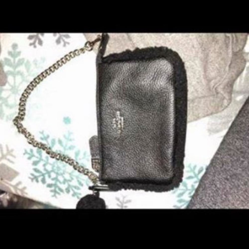 Coach wristlet w chain and big bag