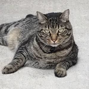 Meet your Posher, Anakarina