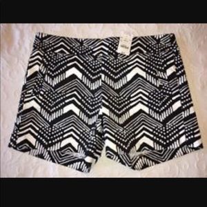 City Fit Shorts NWT