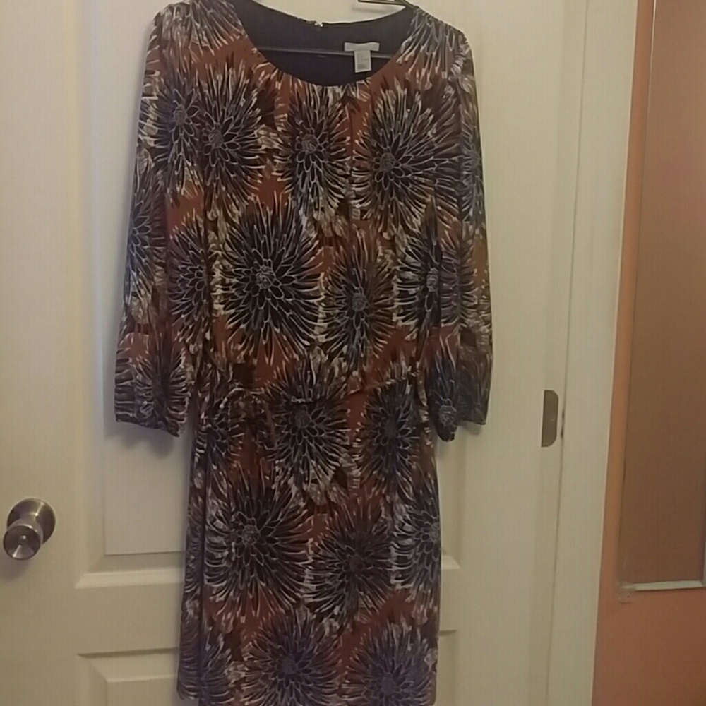 H&M Chrysanthemum Print dress