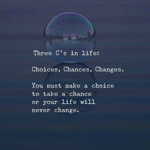 Meet your Posher, Shaunfee