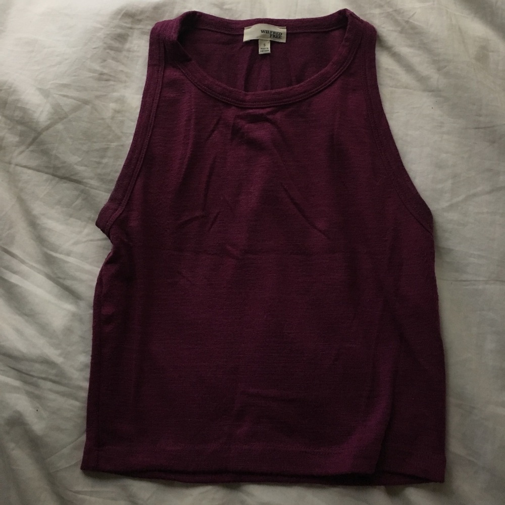 Aritzia Top