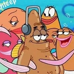 Meet your Posher, Dj