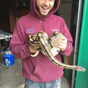 Meet your Posher, Alex