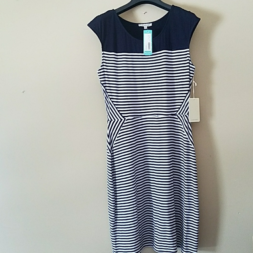 NWT Navy & White Stiped Dress