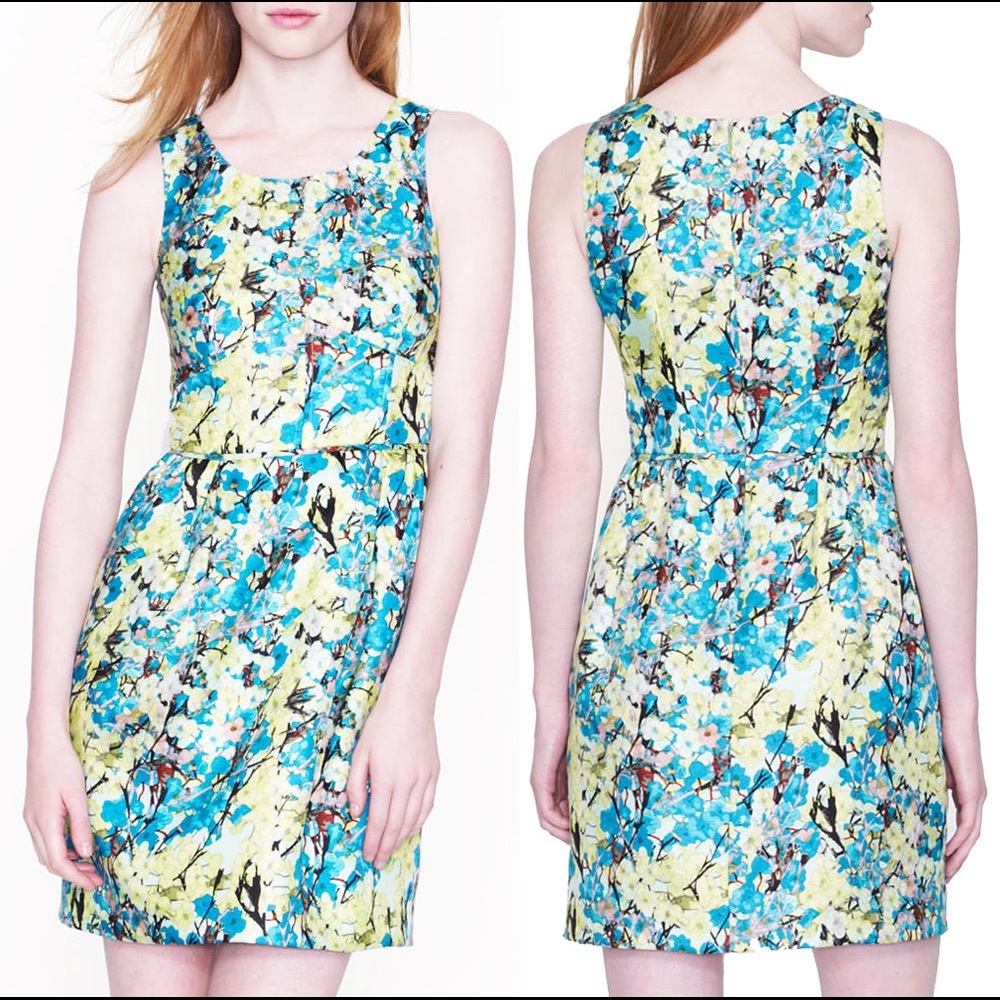 Gorgeous Jcrew Allie Dress