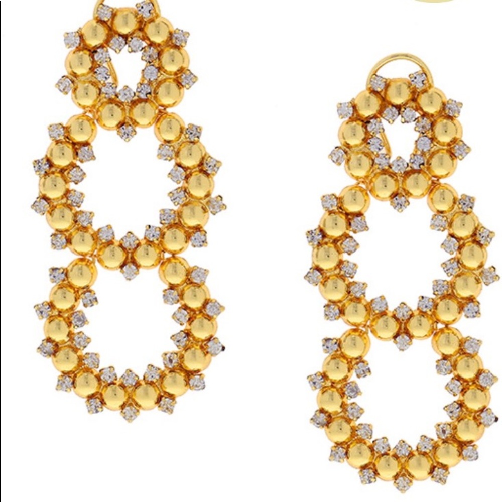 Beautiful Loop earrings