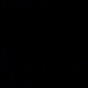 Meet your Posher, Autumn