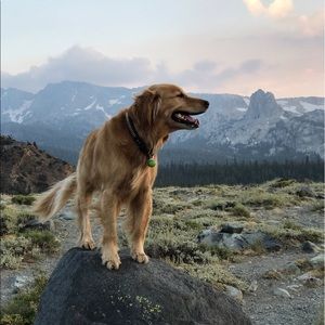 Meet your Posher, Claire